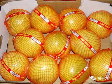 吃貨的福音 今冬平湖水果市場柚子量大價(jià)廉