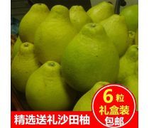 柚子批發(fā) 產(chǎn)品庫(kù)全指南