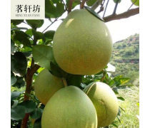 贛州柚子產(chǎn)品庫(kù)——優(yōu)質(zhì)柚子批發(fā)，盡在江西產(chǎn)品庫(kù)