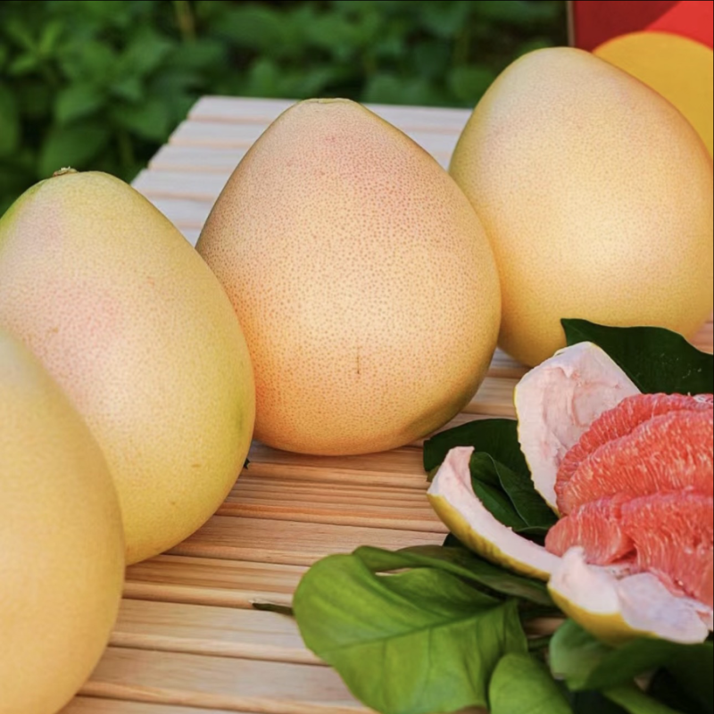 廣西容縣沙田柚 自家果園直供，品質正宗，批發價3.50元/斤